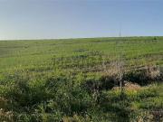 Terreno in vendita di 70000 m²