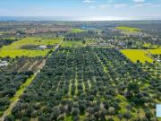 Terreno in vendita di 70000 m² in Strada Provinciale per...