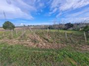 Terreno in vendita di 7000 m²