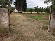 Terreno in vendita di 7000 m² in Strada vicina di lama...