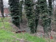 Terreno in vendita di 7000 m² in Via dei Ciliegi