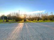 Terreno in vendita di 7000 m² in Via Ortana, 3