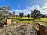 Terreno in vendita di 7049 m² in Strada Statale 101