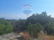 Terreno in vendita di 7050 m² in Via Papa Giovanni Paolo...