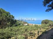Terreno in vendita di 7093 m² in Località Rodia, 5