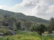 Terreno in vendita di 716500 m² in Via Papa Giovanni XXIII
