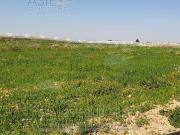 Terreno in vendita di 71 m² in Contrada Sciri Sottano