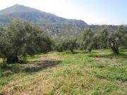 Terreno in vendita di 7200 m²