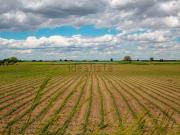 Terreno in vendita di 7210 m² in Via San Bartolomeo