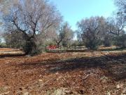 Terreno in vendita di 7228 m² in Contrada Vora