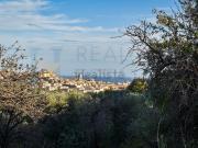 Terreno in vendita di 73000 m² in Via Tommaso Fazello, 228