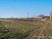 Terreno in vendita di 7345 m²