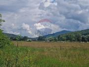 Terreno in vendita di 7397 m² in Via del Pantano, 19