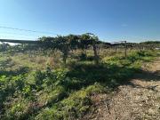 Terreno in vendita di 75000 m² in Strada Campovivo