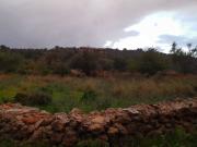 Terreno in vendita di 7500 m²