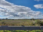 Terreno in vendita di 7500 m² in Contrada Jungetto