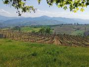 Terreno in vendita di 750 m² in Strada Corano, 44