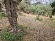 Terreno in vendita di 750 m² in Via Chianetta