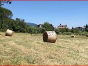 Terreno in vendita di 7600 m² in Strada Provinciale 45/f