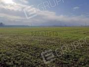 Terreno in vendita di 76526 m² in Via dei Ronchi