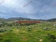 Terreno in vendita di 78000 m² in Corso Calatafimi, 1165