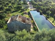 Terreno in vendita di 7839 m²