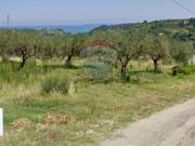 Terreno in vendita di 7840 m² in Via Feudo