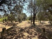 Terreno in vendita di 7892 m² in Contrada cotogni