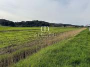 Terreno in vendita di 80000 m² in Strada Senza Nome