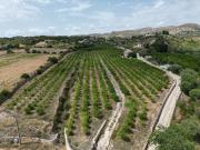 Terreno in vendita di 8000 m²