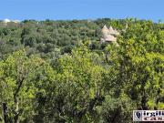 Terreno in vendita di 8000 m²