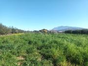 Terreno in vendita di 8000 m² in Contrada Quercia Grossa, 30
