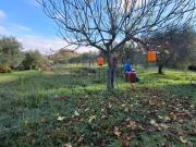 Terreno in vendita di 8000 m² in Via Poggio Pallone