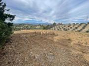 Terreno in vendita di 800 m² in Contrada Villa Erminia