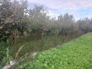 Terreno in vendita di 800 m² in Via Nocelleto