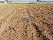 Terreno in vendita di 8020 m² in Contrada Cozzo Croce