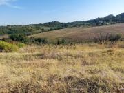 Terreno in vendita di 80500 m²