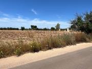 Terreno in vendita di 8100 m² in Via delle Tuberose, 81