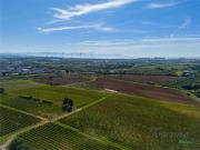 Terreno in vendita di 81800 m² in Località Caccialupi