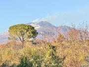 Terreno in vendita di 8200 m² in Strada Comunale Raffo