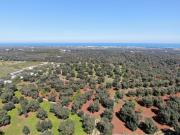 Terreno in vendita di 8249 m² in Contrada Cento Pezze