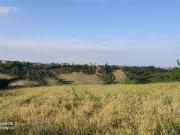 Terreno in vendita di 8350 m²