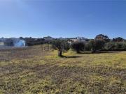 Terreno in vendita di 8400 m² in Strada Provinciale 16