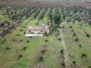 Terreno in vendita di 8417 m² in Strada Provinciale 123