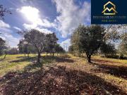 Terreno in vendita di 8447 m² in Contrada San Galaro