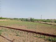 Terreno in vendita di 8500 m² in Contrada Cannarella