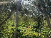 Terreno in vendita di 850 m² in Contrada Badia