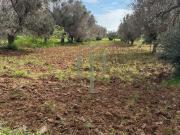 Terreno in vendita di 8523 m² in Strada Comunale Formica