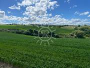 Terreno in vendita di 8622 m²