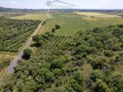 Terreno in vendita di 87000 m² in Strada del Giardino